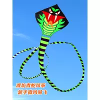新款蛇风筝微风易飞大型成人高档长尾青蛇儿童卡通初学者潍坊风争