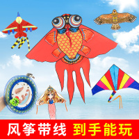 潍坊风筝小卡通老鹰线轮初学者大型成人高档微风易飞儿童新款
