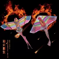 新款潍坊火烈鸟风筝高档大型前撑成人微风易飞带线轮儿童卡通