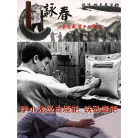 李小龙贴墙靶咏春沙包永春沙袋寸拳铁砂掌拳靶挂墙壁拳击靶家用