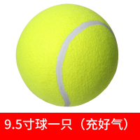 9.5寸大号网球充气大网球宠物玩具球充气玩具狗狗十倍快乐网球