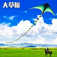 2020年新款潍坊风筝儿童微风易飞初学者大型高档成人专用草原风筝