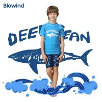 儿童泳衣男童童短袖度假分体速干温泉游泳衣套装