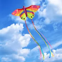 潍坊风筝成人大型高档新款微风易飞儿童七彩风筝长尾风筝