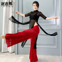 古典舞蹈服女逸练功服中国舞身韵纱衣民族古风套装