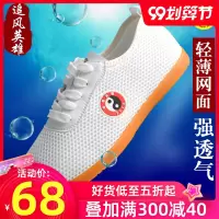 追风太极鞋女男夏季透气网面牛筋底太极拳运动布鞋武术练功鞋