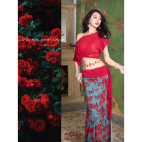 原创肚皮舞练功服2020年品网纱长裙舞蹈服装套装初学者