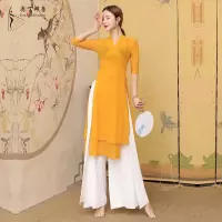 古典舞2020新款身韵纱衣逸服装演出中国舞蹈肚皮舞套装练功服女