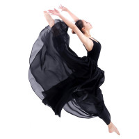 芭蕾舞蹈裙 代表性裙 舞蹈练习裙 舞 古典舞均可用 百搭长裙