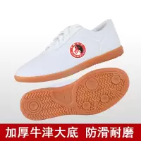 陈家沟新款太极鞋帆布加厚牛筋底太极拳练功鞋武术布鞋男运动鞋女