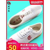太极鞋女春夏季帆布鞋牛筋底太极拳练功鞋男布鞋武术鞋太极运动鞋