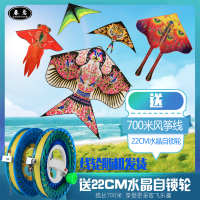 风筝潍坊新款大型高档成人卡通初学者儿童微风易飞水晶线轮