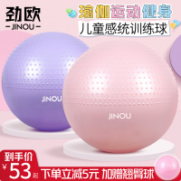 瑜伽球儿童感统训练婴儿宝宝早教触觉按摩球平衡球加厚防爆大龙球