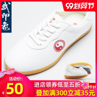 太极鞋男牛筋底帆布鞋女太极拳鞋武术练功鞋夏季透气功夫鞋