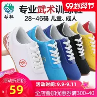 武术鞋儿童训练男女太极鞋帆布鞋牛筋底练功鞋比赛专用功夫鞋运动