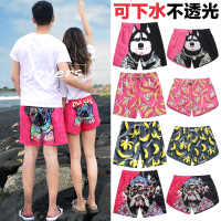 沙滩裤男五分情侣可下水花短裤女速干宽松海边度园游泳裤