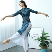 古典舞练功服身韵长纱衣逸中国风 淡雅演出服上衣女旗袍舞蹈服