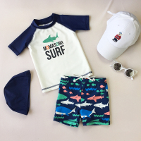 儿童泳衣男童速干小童童分体泳裤套装男孩宝宝游泳衣