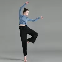 舞练功服拉丁舞服装女成人拉丁舞练功服女修身舞蹈服露脐上衣