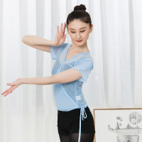 短袖古典舞蹈练功服古风成人网纱上衣女短款中国舞服装身韵纱衣女