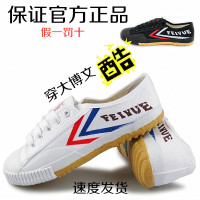 武术鞋练功儿童成人太极帆布足球鞋体考黑白田径运动鞋