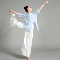 拉丁芭蕾舞练功服装舞蹈服女成人开叉打结透视宽松上衣K9