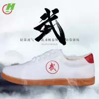 太极鞋帆布牛筋底夏季女武术鞋练功鞋男功夫鞋软底训练运动鞋F3