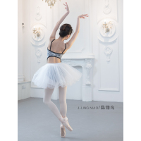 成人芭蕾舞纱裙舞蹈蓬蓬裙练功裙教师裙半身短裙舞蹈裙四层纱E7