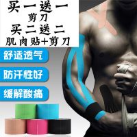专业肌肉贴肌内效贴布弹肌肉拉伤贴篮球性绷带胶带Z3