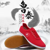 正品牛筋底练功武术鞋太极鞋男女训练太极拳鞋表演帆布小白鞋H8