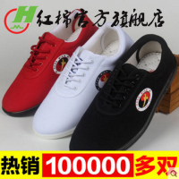 太极鞋帆布春夏季男女儿童武术鞋练功鞋太极拳加厚软底功夫鞋