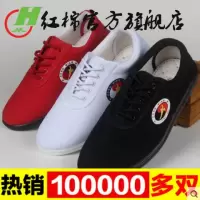 太极鞋帆布春夏季男女儿童武术鞋练功鞋太极拳加厚软底功夫鞋