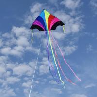 潍坊飞天彩虹风筝 大型成人微风好飞三角风筝 长尾 多彩儿童