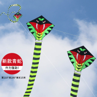 长蛇青蛇风筝潍坊网红新款大人大型高档壮观长尾儿童卡通易飞带线F4