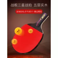 正品乒乓球拍初学者 成品直拍横拍儿童学生乒乓球拍训练2只装L4