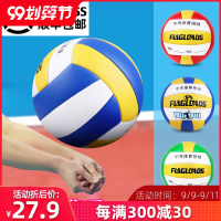 中考学生排球考试比赛训练软式气排球沙滩成人初学者硬排球