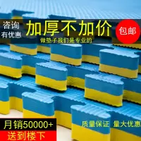 专业跆拳道垫子加厚训练高密度舞蹈格斗柔道摔跤道馆跆拳道地垫