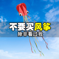 风筝儿童大型高档微风易飞初学者立体潍坊长尾巴章鱼风筝软体风筝