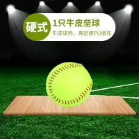 小学生10寸垒球9号棒球软硬实心儿童用棒球比赛训练打棒球的球类|12寸牛皮垒球硬球1个