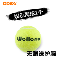 网球6 1 2 3高弹耐磨初学训练网球耐打60个装H0|662网球[1只]