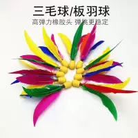 加厚板羽球拍实木板羽球拍毽球拍成人儿童三毛球拍双拍送12球F4|三毛球10个