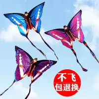 潍坊微风蝴蝶微风老鹰微风儿童卡通微风成人线轮微风易飞风筝微风J1