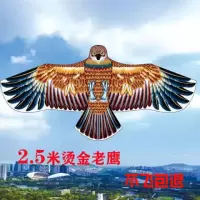 潍坊风筝1.6米、2.5米、3.5米大老鹰前撑杆老鹰儿童风筝成人风筝