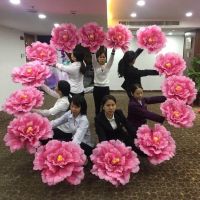 牡丹道具花运动会入场道具开幕式手拿花儿童跳舞花舞台演出花Q5|50CM绿色松紧带款