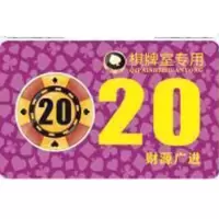 40片筹码卡片棋牌室专用筹码币麻将塑料卡片 德州扑克长方形代币I9|20元面值[40张]