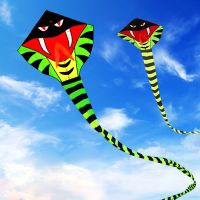 潍坊蛇风筝青蛇壮观大型儿童风筝线轮易飞新款成人初学者风筝L4