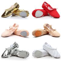 舞蹈鞋女软底练功鞋儿童芭蕾鞋成人男肚皮舞形体猫爪鞋红白黑驼色U7