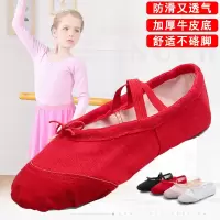 成人儿童舞蹈鞋女软底练功鞋猫爪跳舞鞋女童幼儿形体鞋男芭蕾舞鞋S9
