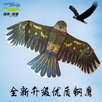 潍坊老鹰风筝儿童卡通成人风筝中大型微风风筝线轮线易飞