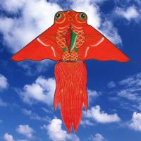 潍坊风筝儿童亲子户外健身吉祥烫金大金鱼风筝微风易飞不飞包退J5